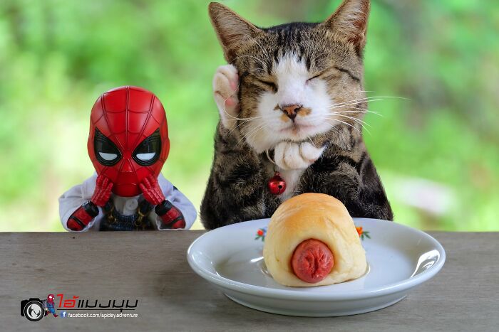 The Adventures Of Baby Spidey And His Cute Animal Pals: 30 New Photos By This Artist The Adventures Of Baby Spidey And His Cute Animal Pals: 30 New Photos By This Artist