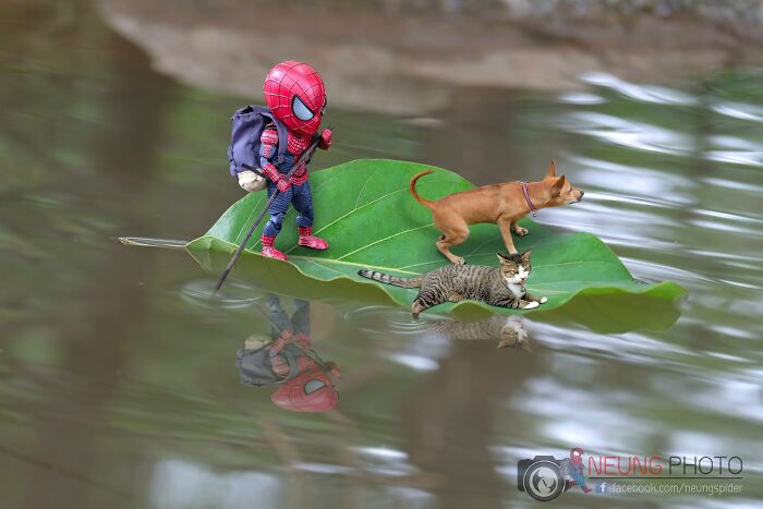 The Adventures Of Baby Spidey And His Cute Animal Pals: 30 New Photos By This Artist The Adventures Of Baby Spidey And His Cute Animal Pals: 30 New Photos By This Artist