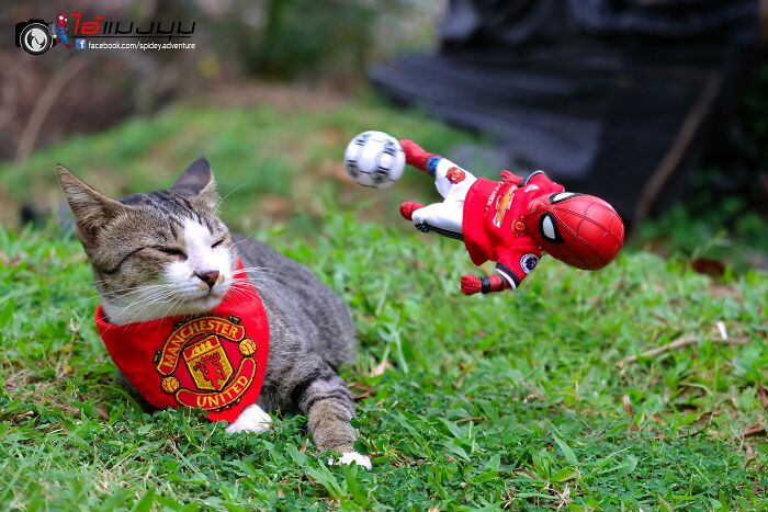 The Adventures Of Baby Spidey And His Cute Animal Pals: 30 New Photos By This Artist The Adventures Of Baby Spidey And His Cute Animal Pals: 30 New Photos By This Artist