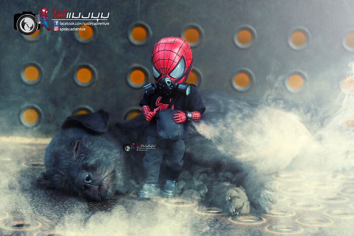 The Adventures Of Baby Spidey And His Cute Animal Pals: 30 New Photos By This Artist The Adventures Of Baby Spidey And His Cute Animal Pals: 30 New Photos By This Artist