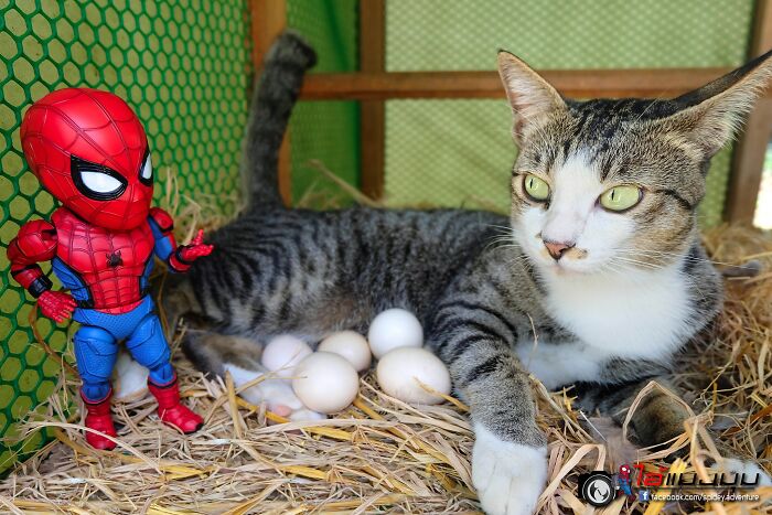 The Adventures Of Baby Spidey And His Cute Animal Pals: 30 New Photos By This Artist The Adventures Of Baby Spidey And His Cute Animal Pals: 30 New Photos By This Artist
