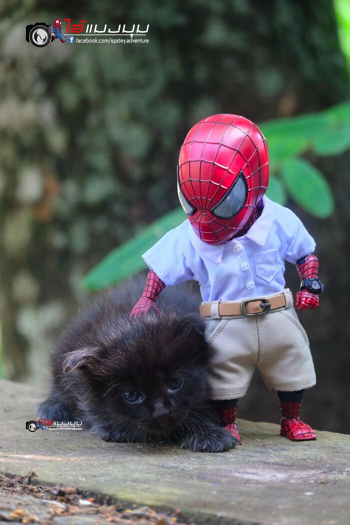 The Adventures Of Baby Spidey And His Cute Animal Pals: 30 New Photos By This Artist The Adventures Of Baby Spidey And His Cute Animal Pals: 30 New Photos By This Artist