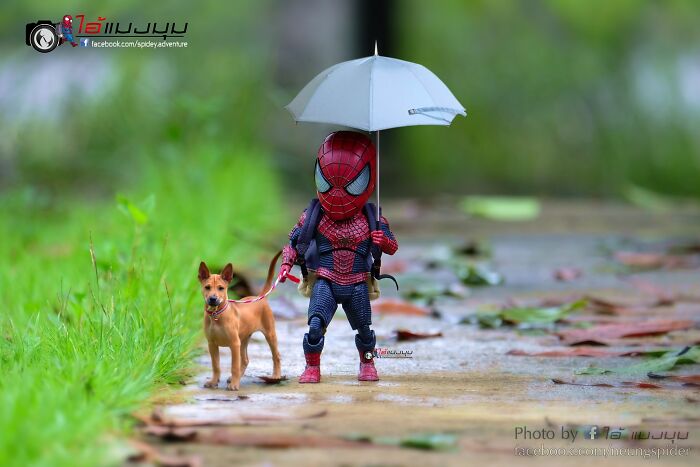 The Adventures Of Baby Spidey And His Cute Animal Pals: 30 New Photos By This Artist The Adventures Of Baby Spidey And His Cute Animal Pals: 30 New Photos By This Artist