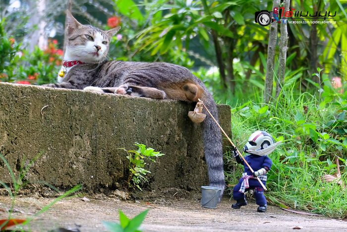 The Adventures Of Baby Spidey And His Cute Animal Pals: 30 New Photos By This Artist The Adventures Of Baby Spidey And His Cute Animal Pals: 30 New Photos By This Artist