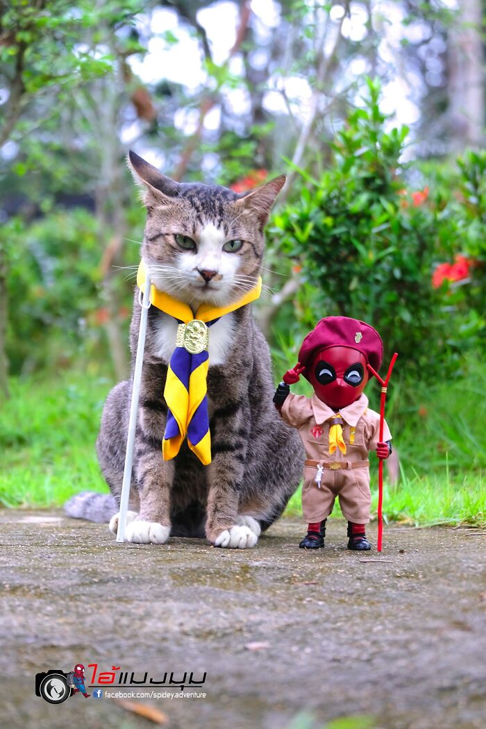 The Adventures Of Baby Spidey And His Cute Animal Pals: 30 New Photos By This Artist The Adventures Of Baby Spidey And His Cute Animal Pals: 30 New Photos By This Artist