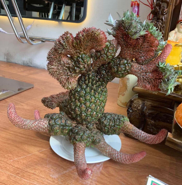 “A Real Monster Nightmare”: 50 Times Mother Nature Glitched Out And It Led To Interesting Plants “A Real Monster Nightmare”: 50 Times Mother Nature Glitched Out And It Led To Interesting Plants