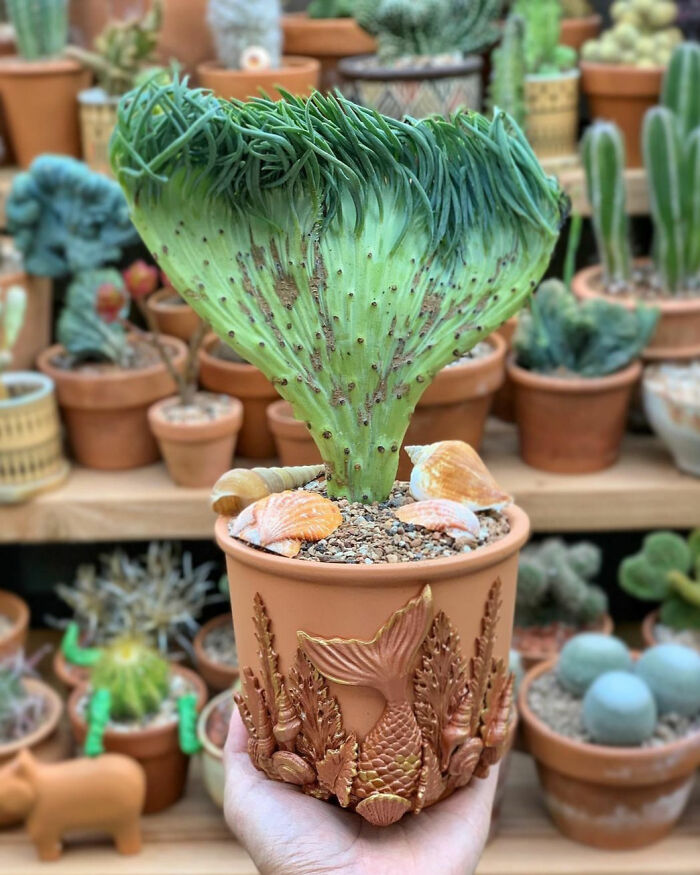 “A Real Monster Nightmare”: 50 Times Mother Nature Glitched Out And It Led To Interesting Plants “A Real Monster Nightmare”: 50 Times Mother Nature Glitched Out And It Led To Interesting Plants