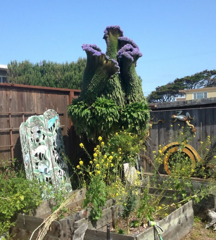 “A Real Monster Nightmare”: 50 Times Mother Nature Glitched Out And It Led To Interesting Plants “A Real Monster Nightmare”: 50 Times Mother Nature Glitched Out And It Led To Interesting Plants