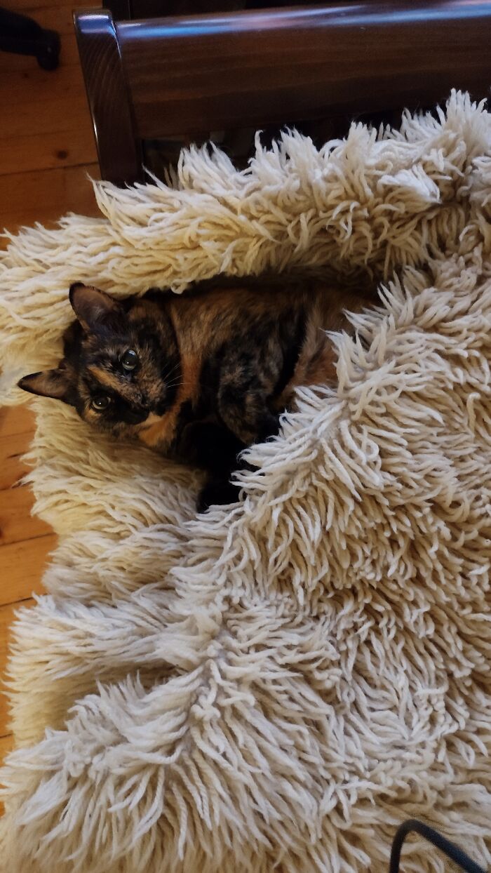 Hey Pandas, Post A Photo Of Your Pet That Makes You Happy Hey Pandas, Post A Photo Of Your Pet That Makes You Happy