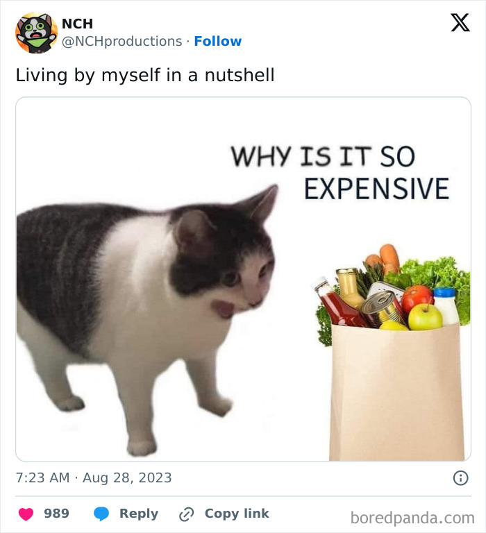 50 Funny Posts From People Who’ve Mastered Living By Themselves 50 Funny Posts From People Who’ve Mastered Living By Themselves