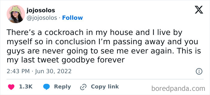 50 Funny Posts From People Who’ve Mastered Living By Themselves 50 Funny Posts From People Who’ve Mastered Living By Themselves