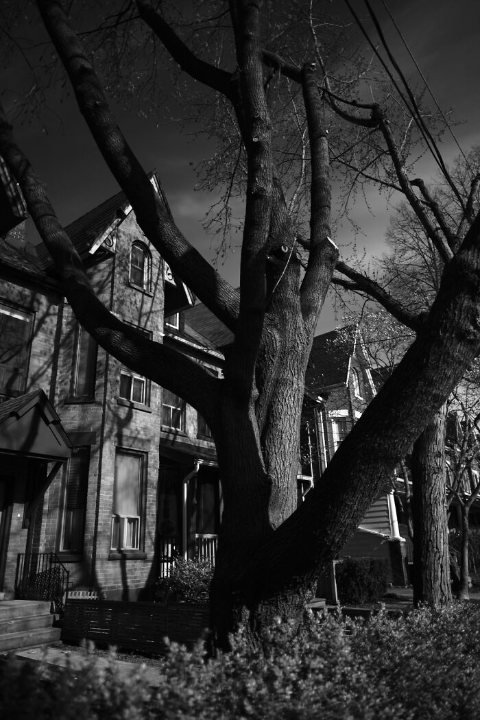 The Intersection Of Photography And Mindfulness (16 Pics)