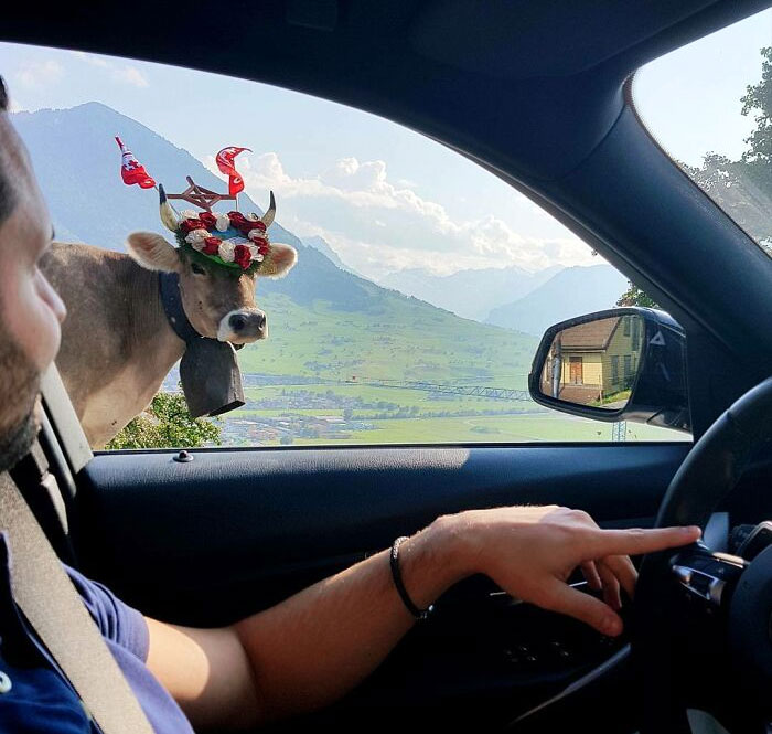 50 Pics That Show How Amazing Switzerland Is 50 Pics That Show How Amazing Switzerland Is