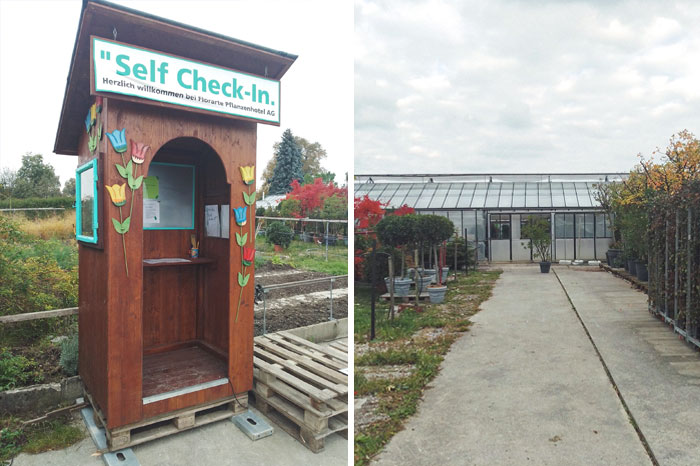 50 Pics That Show How Amazing Switzerland Is 50 Pics That Show How Amazing Switzerland Is