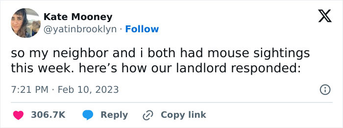 Woman Shares A Hilarious Conversation Between Her And Her Landlord Who Hired A Cat As Pest Control Woman Shares A Hilarious Conversation Between Her And Her Landlord Who Hired A Cat As Pest Control