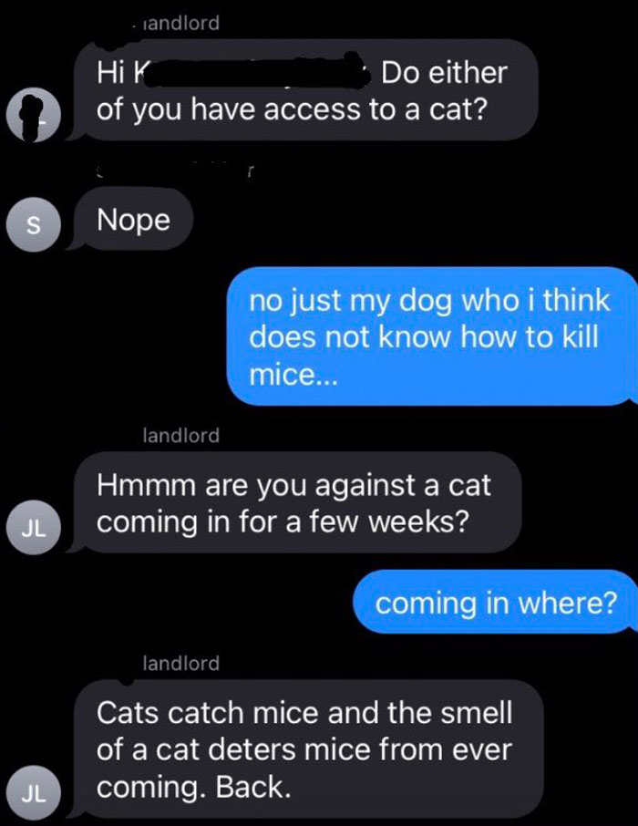 Woman Shares A Hilarious Conversation Between Her And Her Landlord Who Hired A Cat As Pest Control Woman Shares A Hilarious Conversation Between Her And Her Landlord Who Hired A Cat As Pest Control