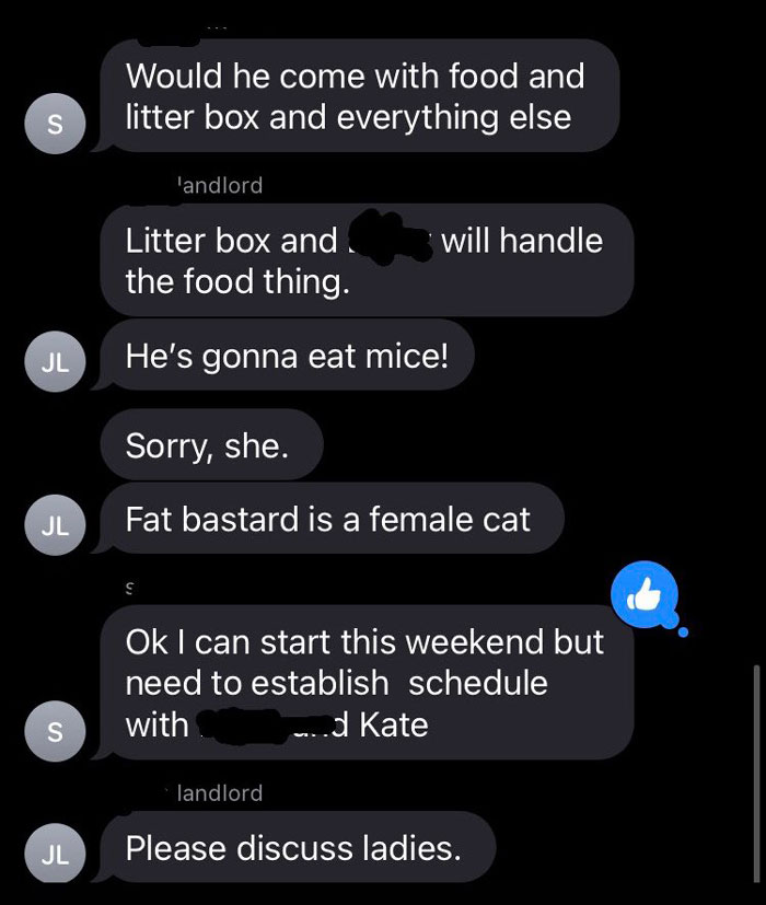 Woman Shares A Hilarious Conversation Between Her And Her Landlord Who Hired A Cat As Pest Control Woman Shares A Hilarious Conversation Between Her And Her Landlord Who Hired A Cat As Pest Control