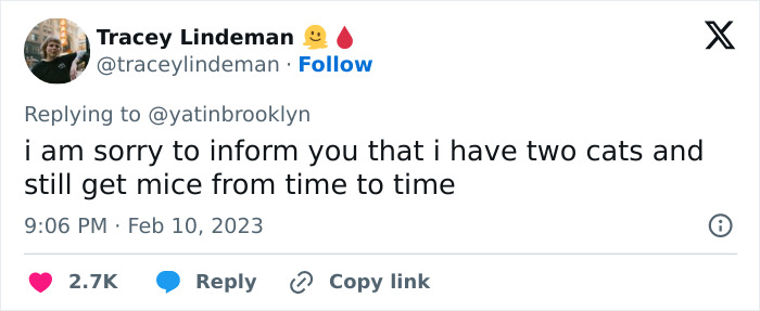 Woman Shares A Hilarious Conversation Between Her And Her Landlord Who Hired A Cat As Pest Control Woman Shares A Hilarious Conversation Between Her And Her Landlord Who Hired A Cat As Pest Control