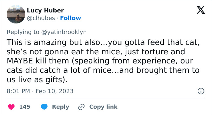 Woman Shares A Hilarious Conversation Between Her And Her Landlord Who Hired A Cat As Pest Control Woman Shares A Hilarious Conversation Between Her And Her Landlord Who Hired A Cat As Pest Control