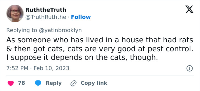 Woman Shares A Hilarious Conversation Between Her And Her Landlord Who Hired A Cat As Pest Control Woman Shares A Hilarious Conversation Between Her And Her Landlord Who Hired A Cat As Pest Control