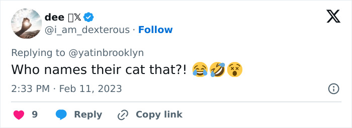 Woman Shares A Hilarious Conversation Between Her And Her Landlord Who Hired A Cat As Pest Control Woman Shares A Hilarious Conversation Between Her And Her Landlord Who Hired A Cat As Pest Control