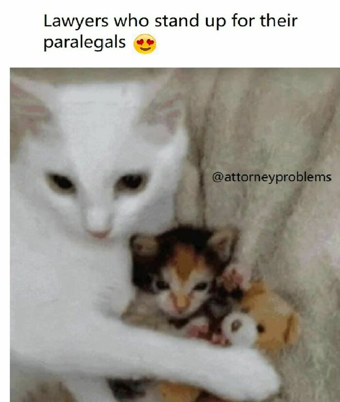 30 Hilarious ‘Attorney Problems’ Memes That May Hit Close To Home If You Work In Law 30 Hilarious ‘Attorney Problems’ Memes That May Hit Close To Home If You Work In Law