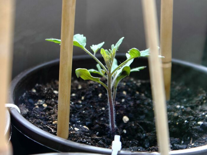 32 Common Items That Are So Widely Misused You Might Not Even Know Their Original Purpose 32 Common Items That Are So Widely Misused You Might Not Even Know Their Original Purpose