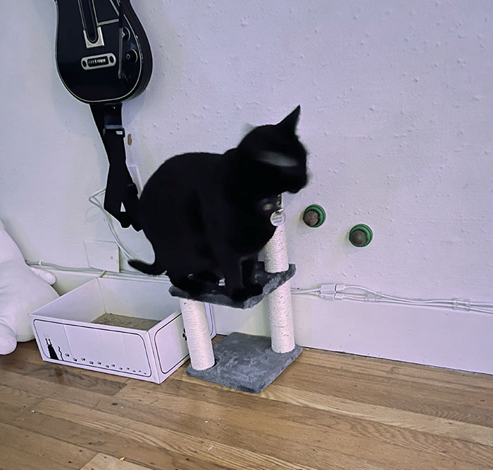 50 People Are Sharing Examples Of Where Frugality Was Taken Too Far 50 People Are Sharing Examples Of Where Frugality Was Taken Too Far