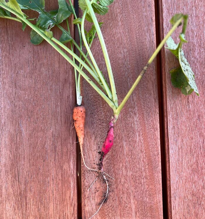 50 People Are Sharing Examples Of Where Frugality Was Taken Too Far 50 People Are Sharing Examples Of Where Frugality Was Taken Too Far