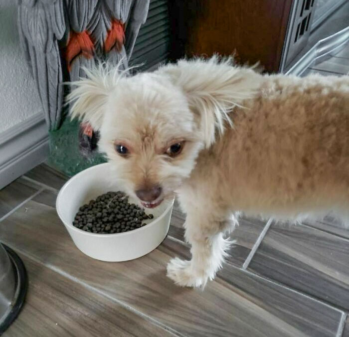 50 People Are Sharing Examples Of Where Frugality Was Taken Too Far 50 People Are Sharing Examples Of Where Frugality Was Taken Too Far