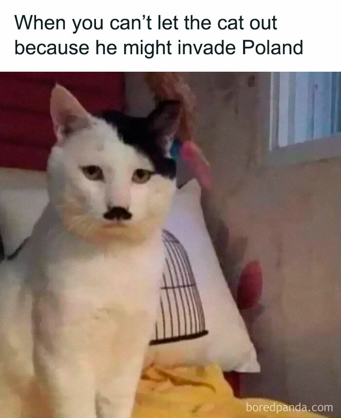 40 Hilarious Posts From “Funniest Memes” That Might Make You Chuckle 40 Hilarious Posts From “Funniest Memes” That Might Make You Chuckle