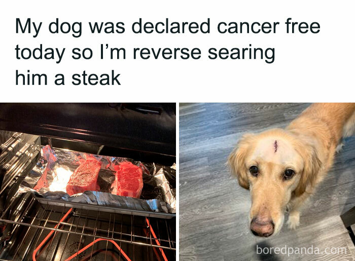 40 Hilarious Posts From “Funniest Memes” That Might Make You Chuckle 40 Hilarious Posts From “Funniest Memes” That Might Make You Chuckle