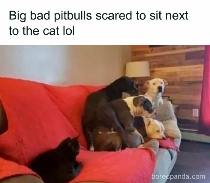 40 Hilarious Posts From “Funniest Memes” That Might Make You Chuckle 40 Hilarious Posts From “Funniest Memes” That Might Make You Chuckle