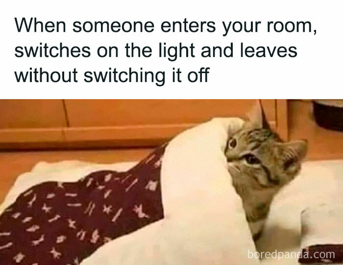 40 Hilarious Posts From “Funniest Memes” That Might Make You Chuckle 40 Hilarious Posts From “Funniest Memes” That Might Make You Chuckle