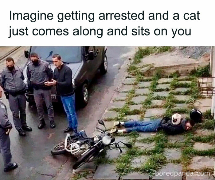 40 Hilarious Posts From “Funniest Memes” That Might Make You Chuckle 40 Hilarious Posts From “Funniest Memes” That Might Make You Chuckle