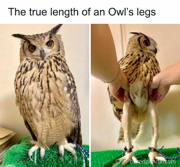 40 Hilarious Posts From “Funniest Memes” That Might Make You Chuckle 40 Hilarious Posts From “Funniest Memes” That Might Make You Chuckle