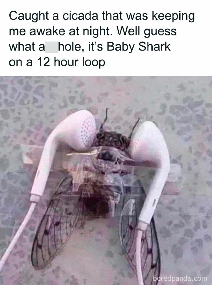 40 Hilarious Posts From “Funniest Memes” That Might Make You Chuckle 40 Hilarious Posts From “Funniest Memes” That Might Make You Chuckle