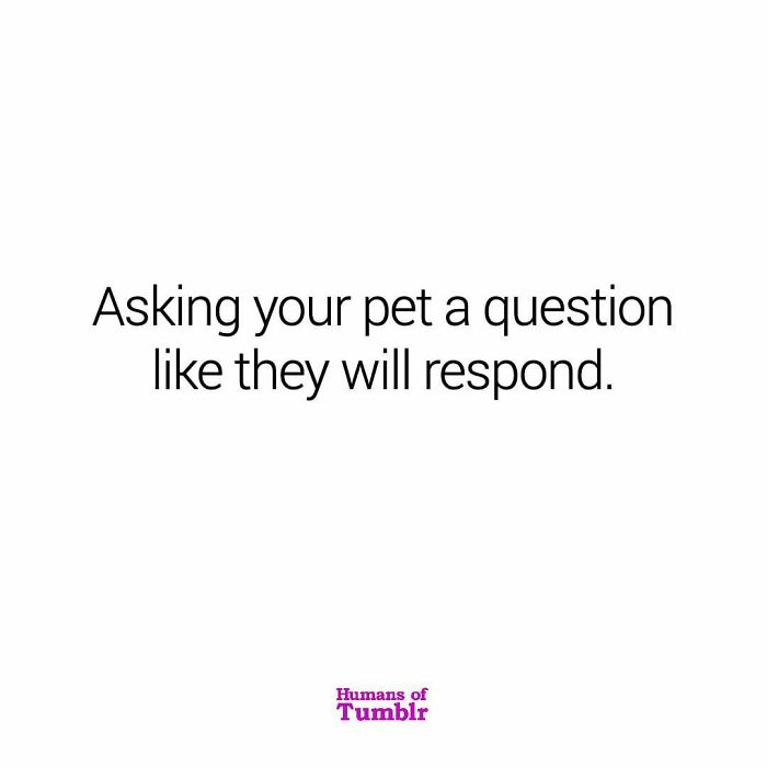 30 Hilariously Random Thoughts Shared On This Instagram Page That Might Hit Too Close To Home 30 Hilariously Random Thoughts Shared On This Instagram Page That Might Hit Too Close To Home