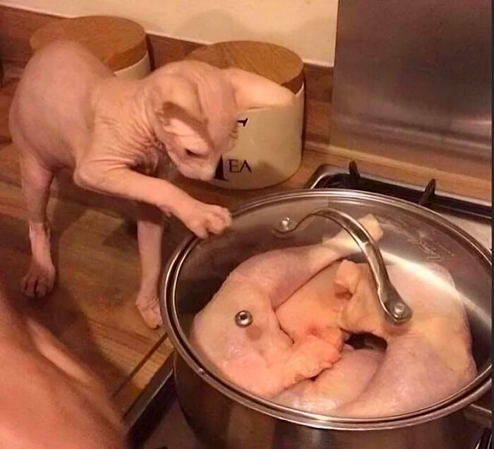 This Page Is All About Cursed Images, And Here’s 35 Of The Most Unsettling Ones This Page Is All About Cursed Images, And Here’s 35 Of The Most Unsettling Ones