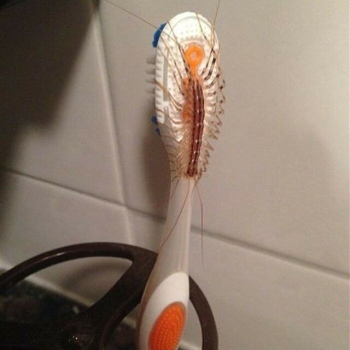 This Page Is All About Cursed Images, And Here’s 35 Of The Most Unsettling Ones This Page Is All About Cursed Images, And Here’s 35 Of The Most Unsettling Ones