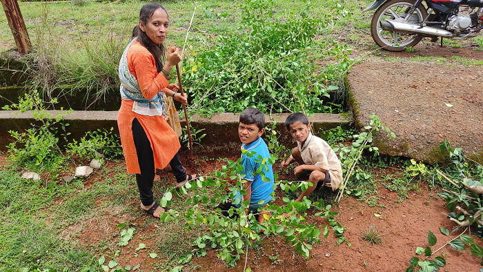 India’s Green Success Story: Setting A Guinness World Record For Planting 66 Million Trees In Just 12 Hours India’s Green Success Story: Setting A Guinness World Record For Planting 66 Million Trees In Just 12 Hours
