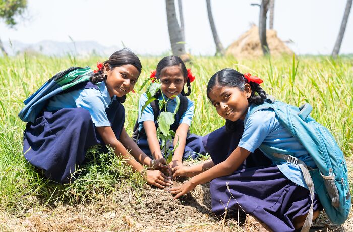 India’s Green Success Story: Setting A Guinness World Record For Planting 66 Million Trees In Just 12 Hours India’s Green Success Story: Setting A Guinness World Record For Planting 66 Million Trees In Just 12 Hours