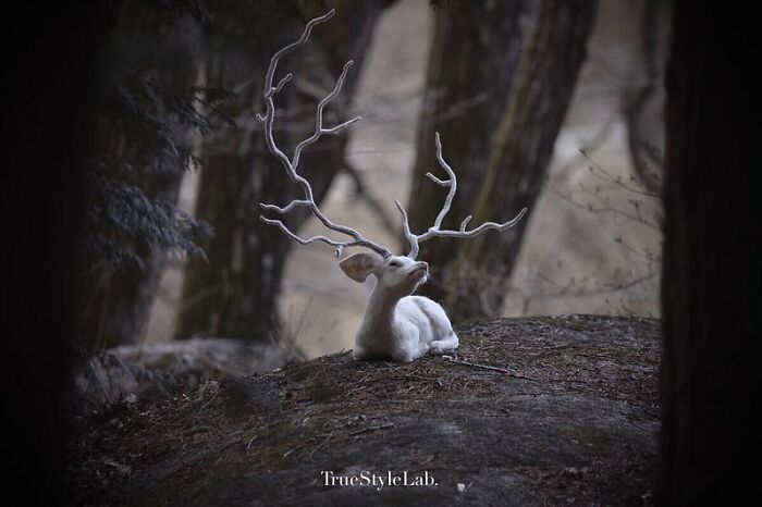 Artist Makes Hyper-Realistic Wool Animal Sculptures Through Needle Felting (18 Pics)