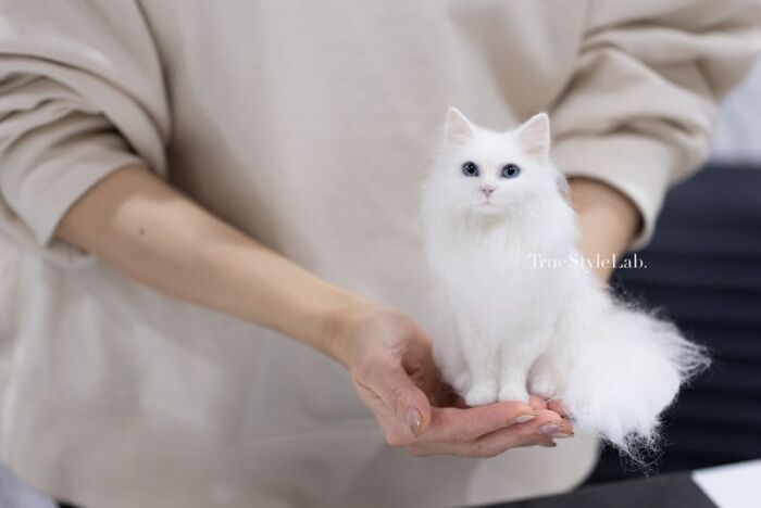 Artist Makes Hyper-Realistic Wool Animal Sculptures Through Needle Felting (18 Pics)