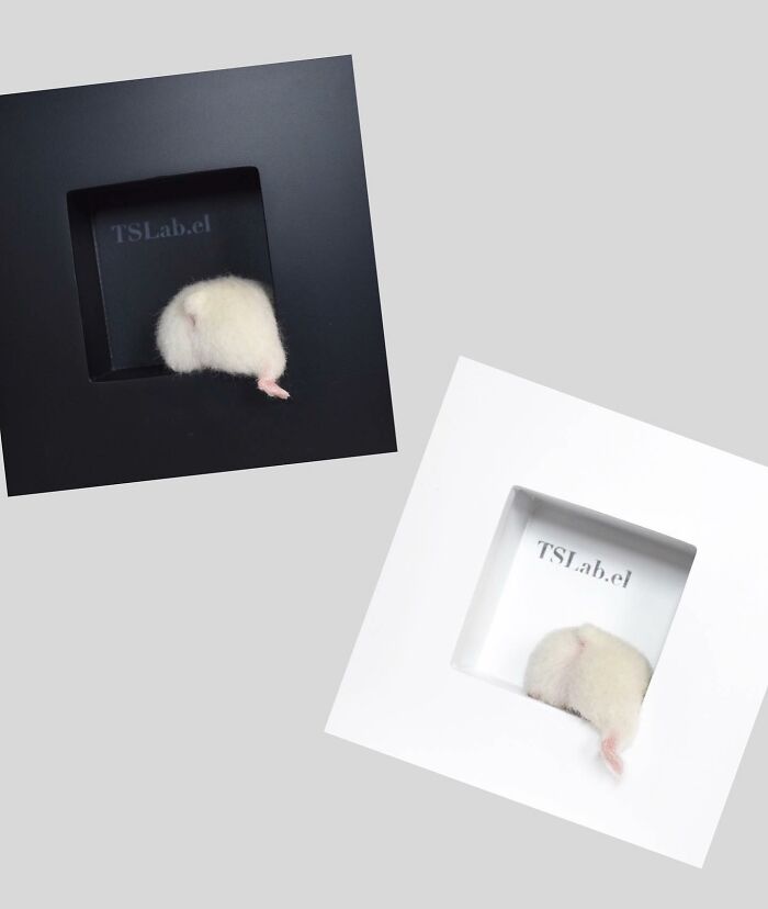 Artist Makes Hyper-Realistic Wool Animal Sculptures Through Needle Felting (18 Pics)