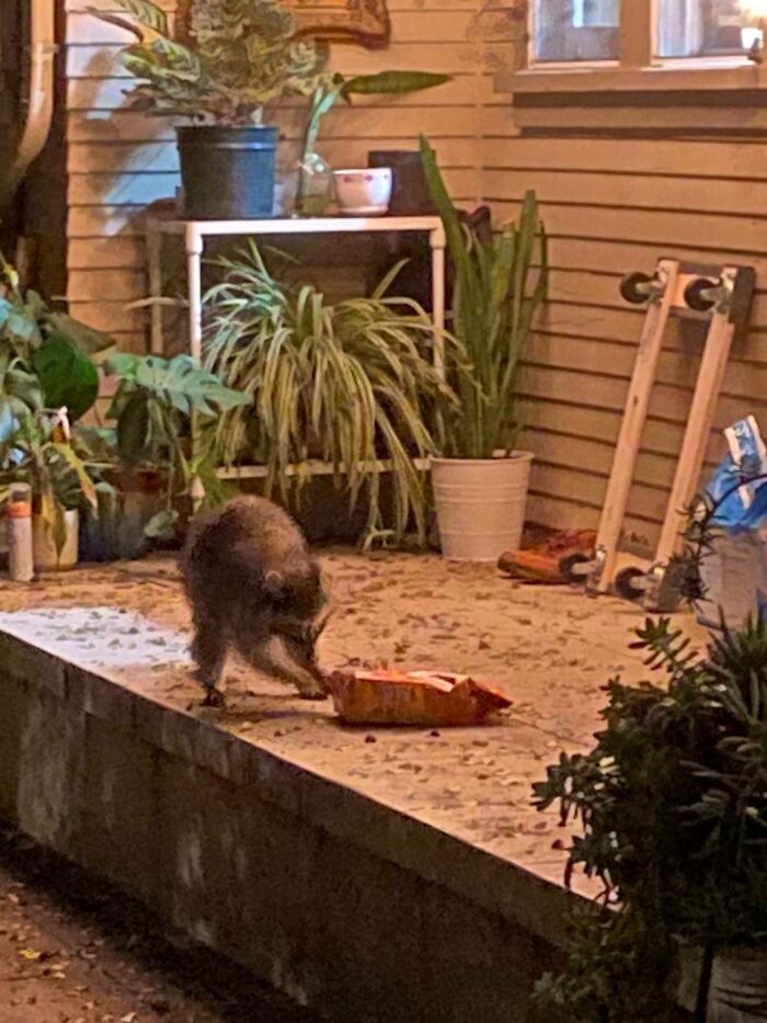 50 Hilarious Pics From ‘Instacart’ Shoppers And Their Customers To Bring A Chuckle To Your Day 50 Hilarious Pics From ‘Instacart’ Shoppers And Their Customers To Bring A Chuckle To Your Day