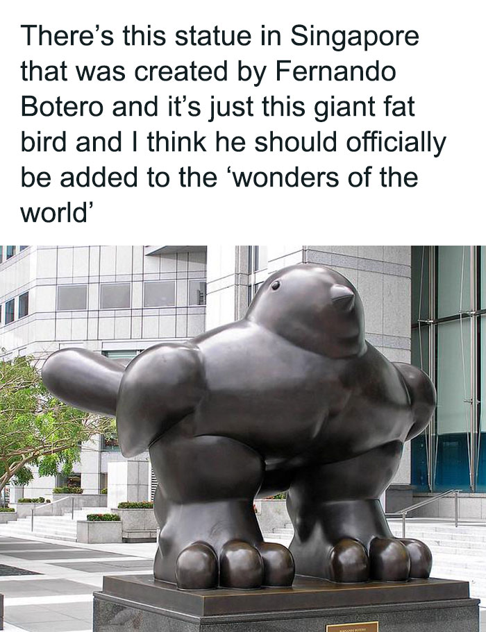 50 Top-Quality Bird Memes To Make You Grin Today, As Shared By This Facebook Page 50 Top-Quality Bird Memes To Make You Grin Today, As Shared By This Facebook Page