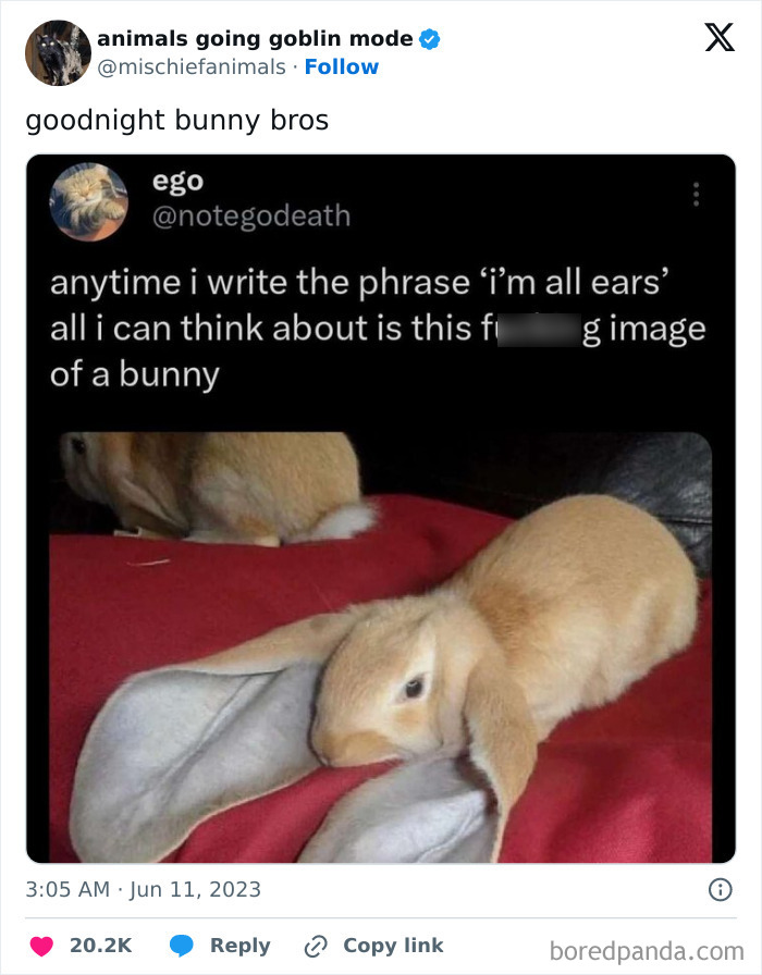 This Twitter Page Is Dedicated To Mischievous Animals And Here Are 50 Of Their Best Pics (New Pics) This Twitter Page Is Dedicated To Mischievous Animals And Here Are 50 Of Their Best Pics (New Pics)