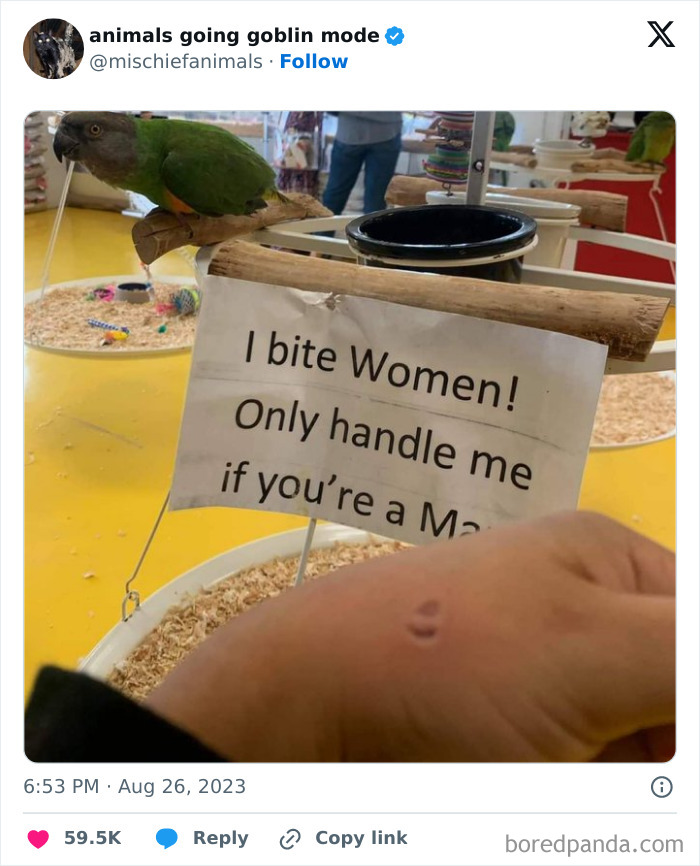 This Twitter Page Is Dedicated To Mischievous Animals And Here Are 50 Of Their Best Pics (New Pics) This Twitter Page Is Dedicated To Mischievous Animals And Here Are 50 Of Their Best Pics (New Pics)