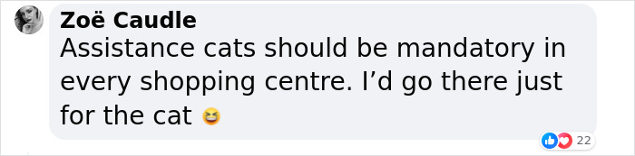 Purr-Hibited: People Fume Over Aldi Shopper After She Brought Her Cat To The Store Purr-Hibited: People Fume Over Aldi Shopper After She Brought Her Cat To The Store